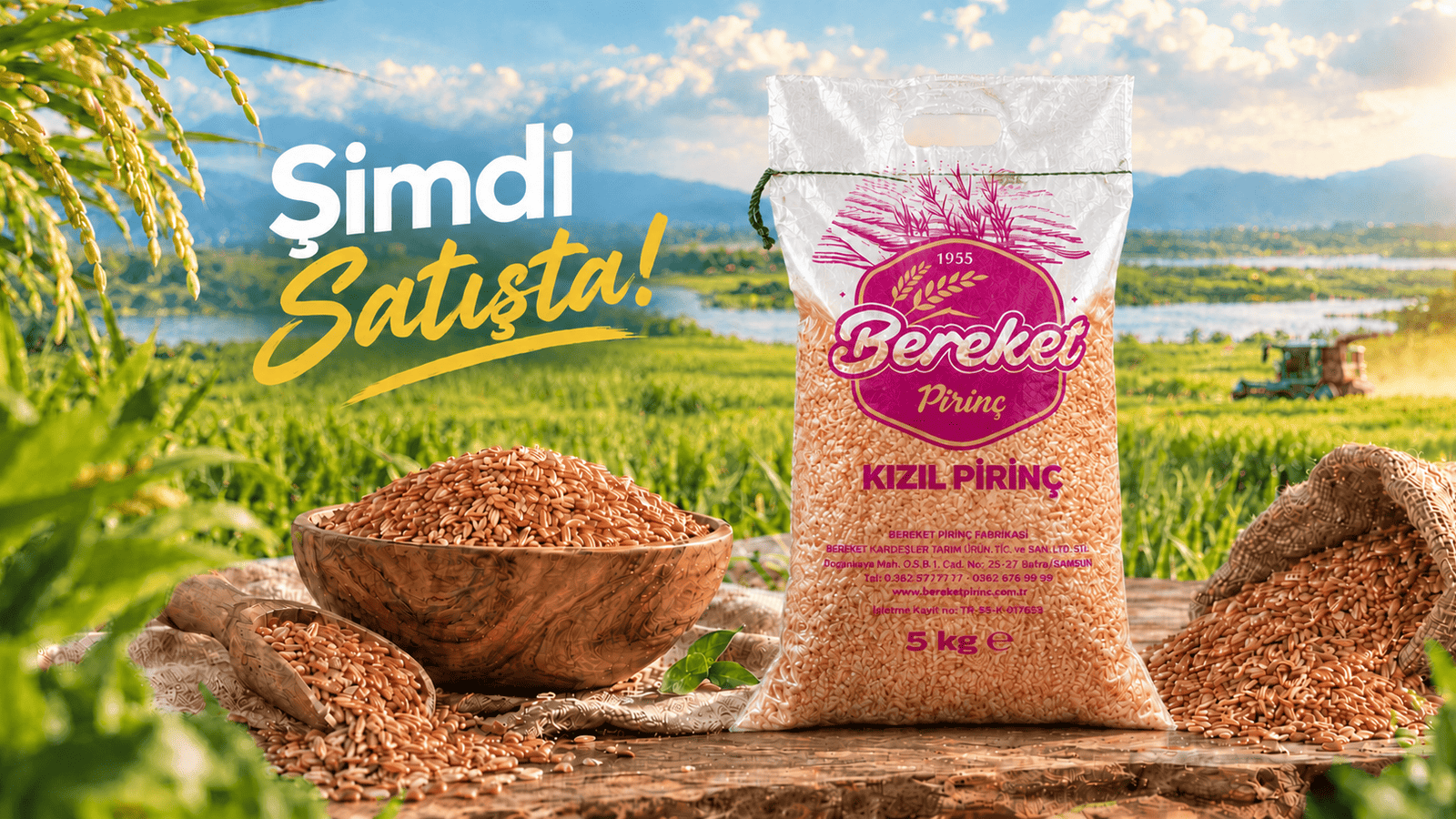 Kızıl Pirinç